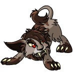 Random Leopet!