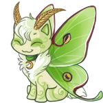 Random Leopet!