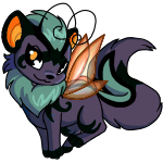 Random Leopet!